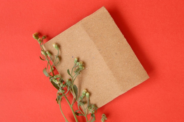 View from above flat lay photo of ordinary object on red background