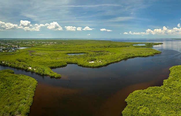 플로리다 에버글레이드 (Florida Everglades) 의 위쪽 전망: 바물 입구 사이의 초록색 식물과 함께 습지에서 많은 열대 종의 자연 서식지
