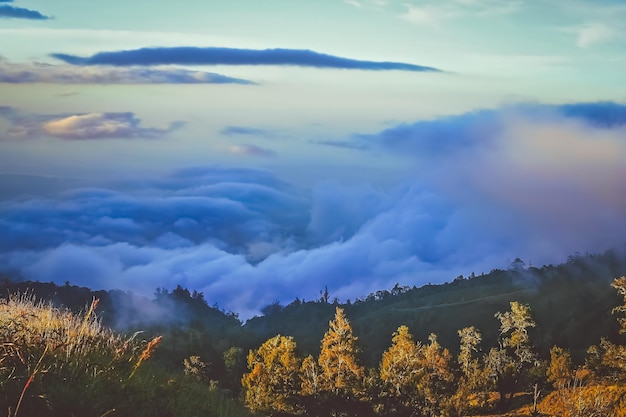 View from the Gunung Rinjani volcano