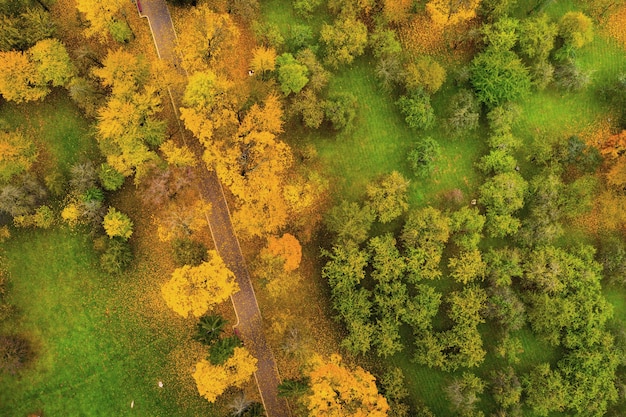 View from the height of autumn on loshitsky Park in Minsk. of the road in the Loshitsa Park.Belarus.Autumn