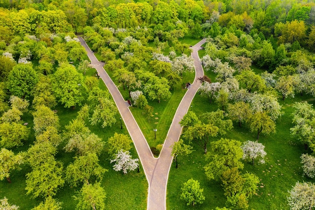 ミンスクのロシツキー公園の高さからの眺め