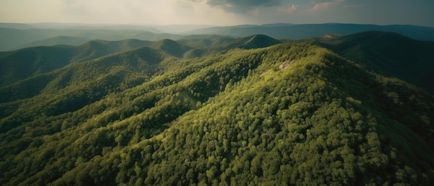 A view from a height of a mountain peak with green trees in the fogAerial view Panoramic shot Generative AI