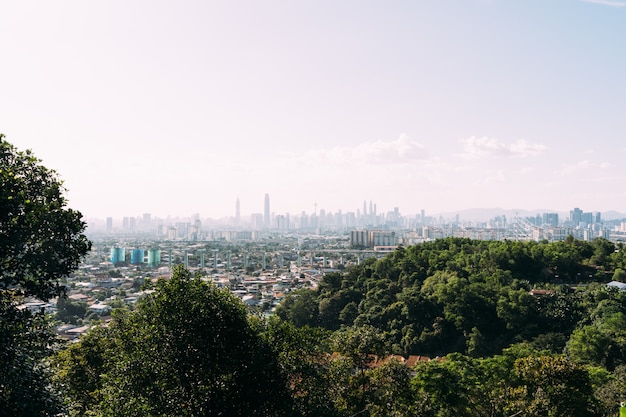 高層ビルがある都市の木のある丘からの眺め