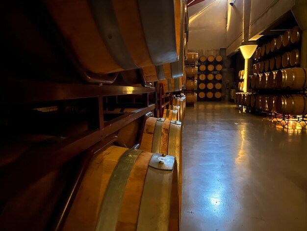 View from inside wine barrels in a wine cellar