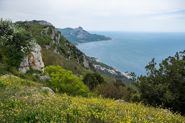 : View from Laspi Pass on Laspi Bay.