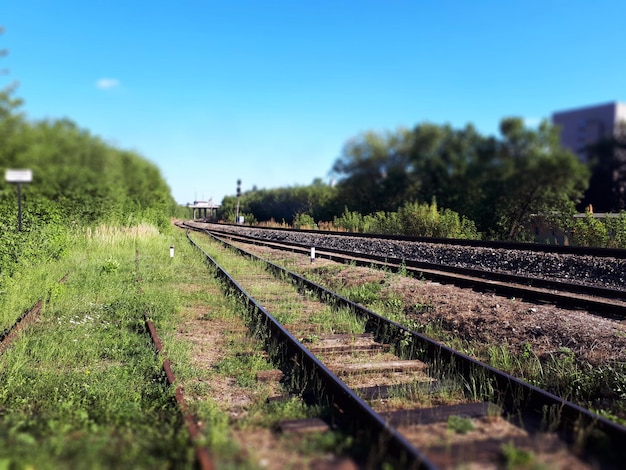 Фото Вид с лужайки и земли железнодорожных путей в летних железнодорожных путях в перспективе на голубом небе