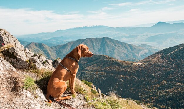 View from mala fatra mountains national park panoramic mountain landscape in orava slovakia