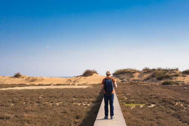 View from behind of a man walking with his dog on a road leading through beautiful landscape.