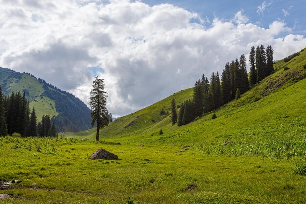 Photo view from the mountain