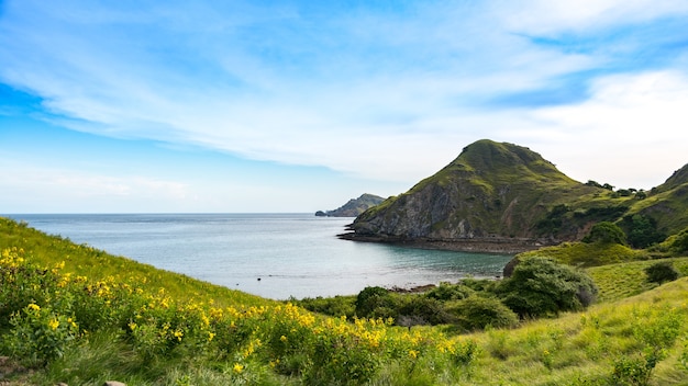 코모도 국립 공원에서 노란 꽃 전경으로 Padar 섬에서보기