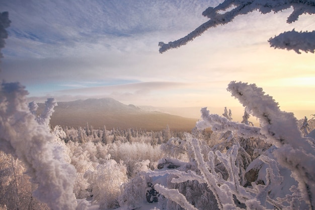 View from a snow-covered hill on frozen trees