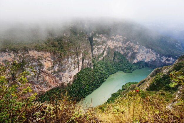 치아파스, 멕시코의 Sumidero 협곡 위에서보기