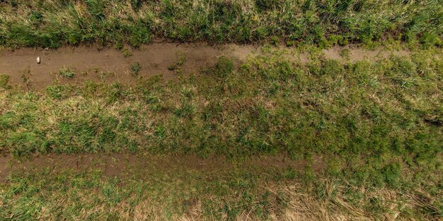 草原の中の砂利の道路の質感を上から見る