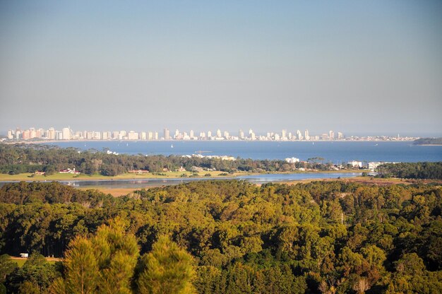 View from the top of the Arboretum Lussich with Punta del Este and part of the Laguna del Sauce