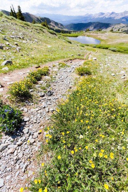 콜로라도주 코튼우드 패스(Cottonwood Pass) 정상에서 본 전망.