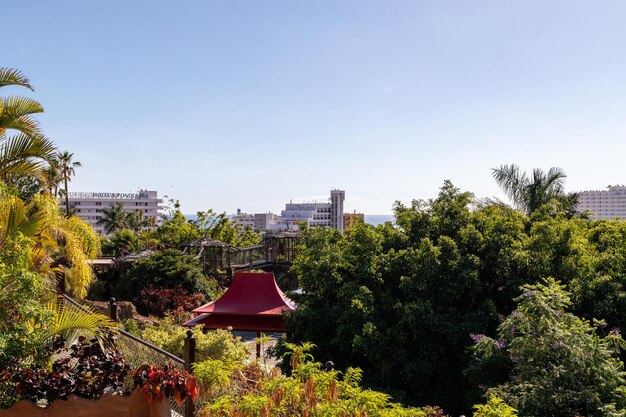 The view from the top deck of the garden.