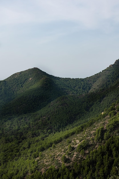 Вид с вершины Зеленых гор по вертикали