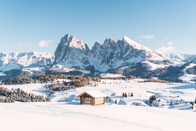 View from the top of a mountain in the alps after a snowfall