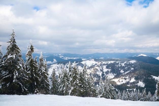 View from the top of mountain on forest in frost and low cloud