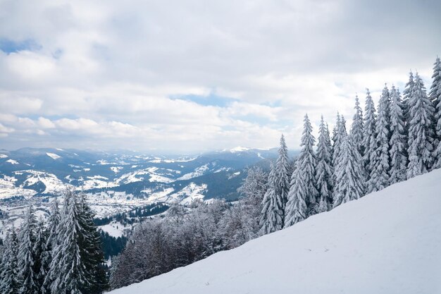 View from the top of mountain on forest in frost and low cloud