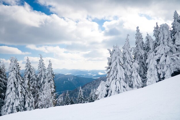 View from the top of mountain on forest in frost and low cloud