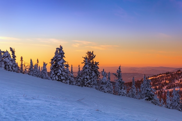 山の頂上から夕日を眺める。ケメロヴォ地域。スキーリゾートSheregesh。夕暮れ時の冬の風景。