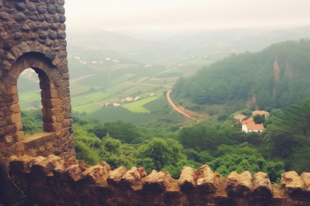 Вид с вершины холмов, покрытых деревьями, на природный парк Casal Portugals Parque Natural da Arrbida.