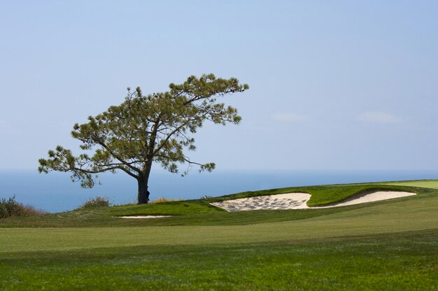 Photo view from torrey pines golf course