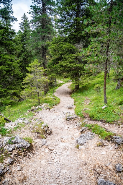 View from tourist walking in alpine forest on summer day hiker traveler hikking with beautiful