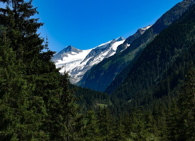 View from untersulzbach valley towards peak of mt grossvenediger austria