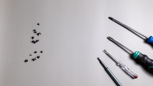 View from above, various types of screwdrivers with nuts to choose from according to the job style and have space to put text on a gray background.