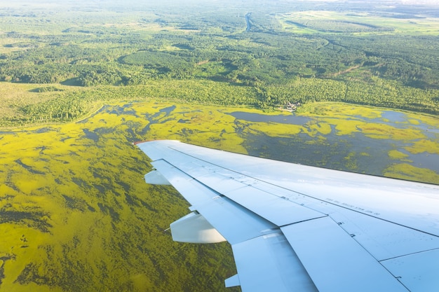 飛行機の窓から森、野原、湖、沼地までの眺め