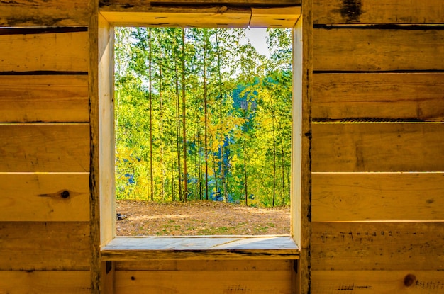 view from the window of the house on the forest.