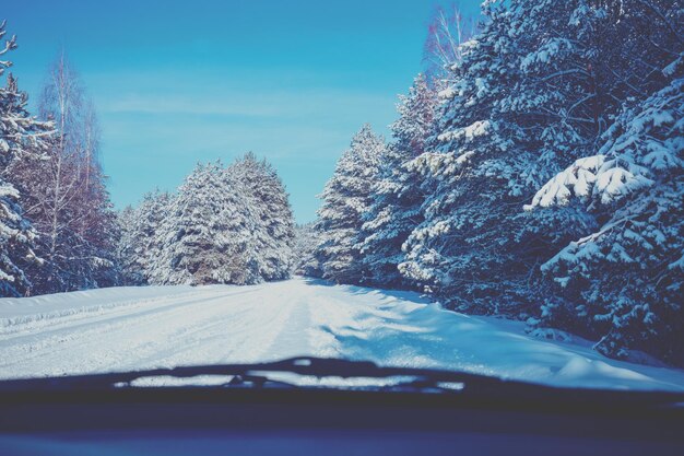 Vista dal parabrezza. strada innevata nella pineta invernale. natura invernale. bosco innevato. rami di pino ricoperti di neve.