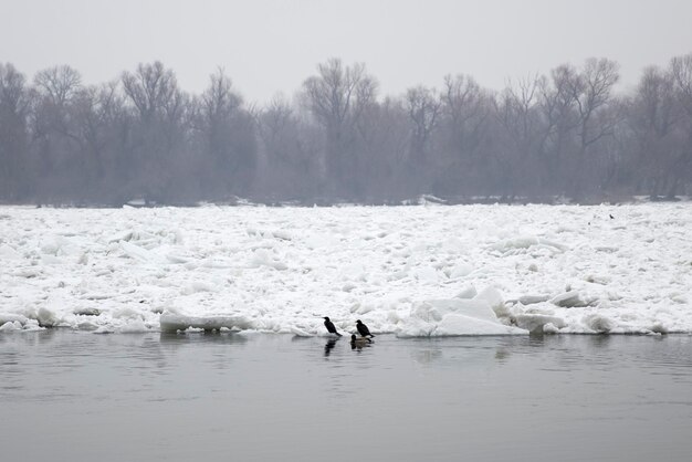 View at the frozen ice river in the winter