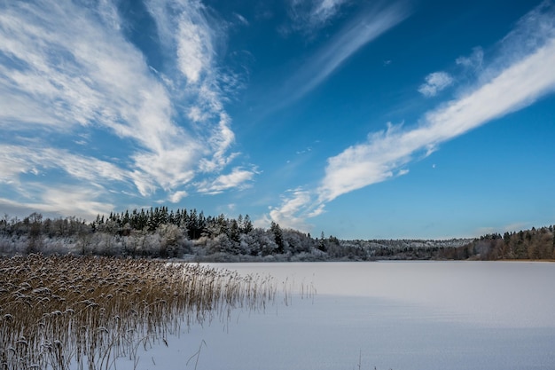 View over frozen lake kuls near bryrup jutland