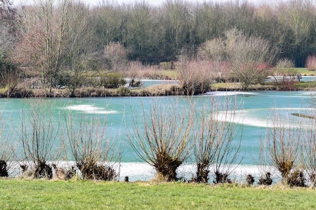 Foto vista di uno stagno congelato nella stagione invernale