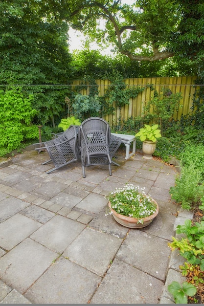 A view of the garden backyard of a house with an artistic chair wooden bench and a variety of plants trees and shrubs on a yard Inside in a formal elegant garden setting on early summers day