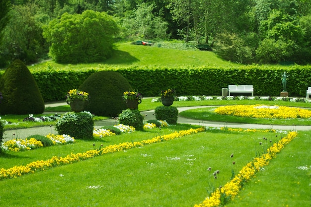 Photo view of garden in park