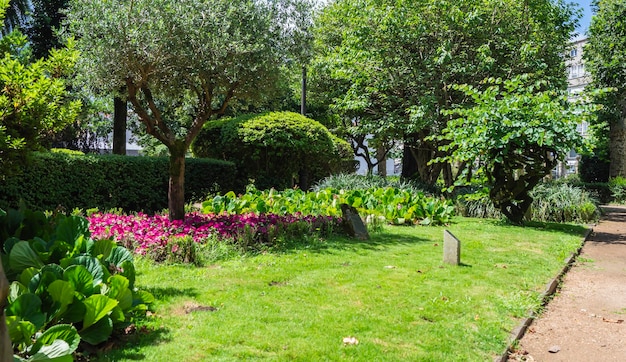 花や植物の多様性のある庭の景色