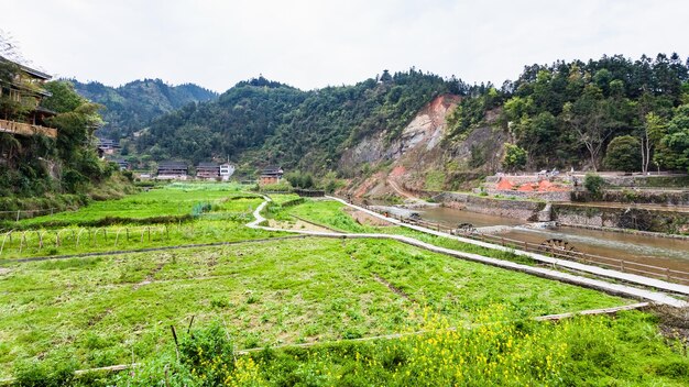 View of gardens on riverbank in Chengyang