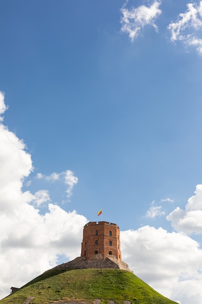 Вид на башню Гединимас в 2020 году.