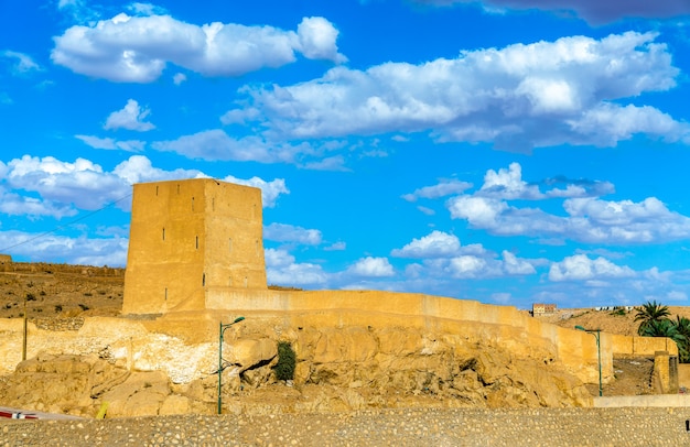 View of Ghardaia, a city in the Mzab Valley.