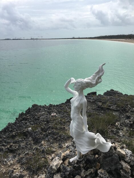 Foto vista della giraffa in mare contro il cielo