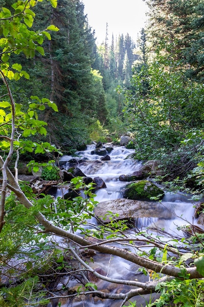 A view of Gloria waterfall in a scenic area of Big Cottonwood Canyon, Utah, USA