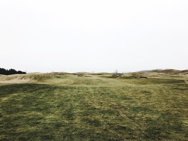 Photo view of golf course on field against clear sky