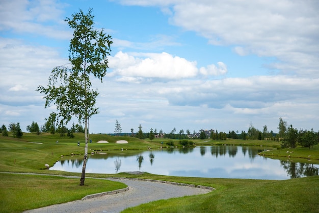 A view of the golf course on a summer's day In the foreground stands a birch in the background