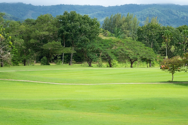 View of Golf Course with putting green in Hokkaido, Japan. Golf course with a rich green turf