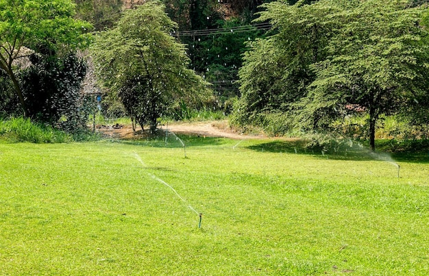 Foto vista del campo da golf