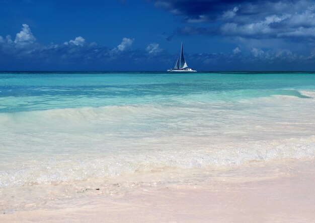 The view of a gorgeous beach blue ocean on a sunny d